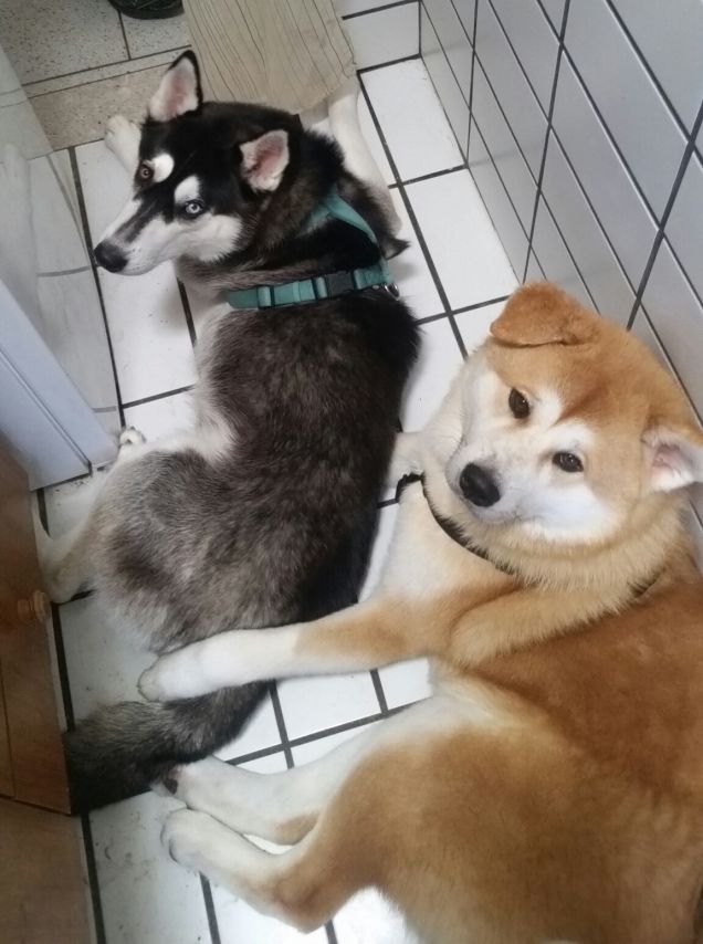 In cucina con mamma...