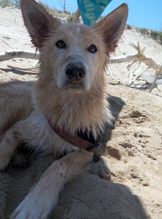 Con la sabbia ovunque