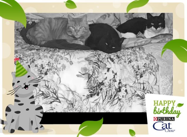 Pisolino pomeridiano