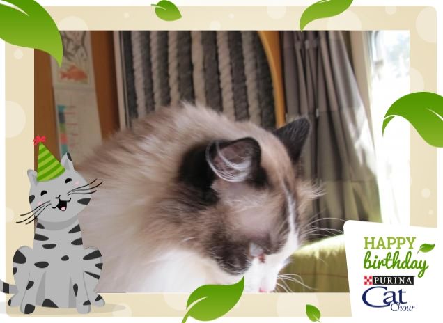 compleanno in vacanza