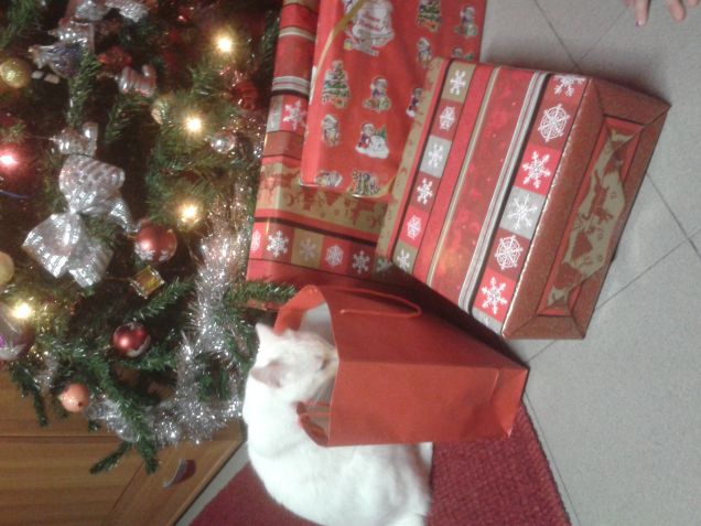 Natale