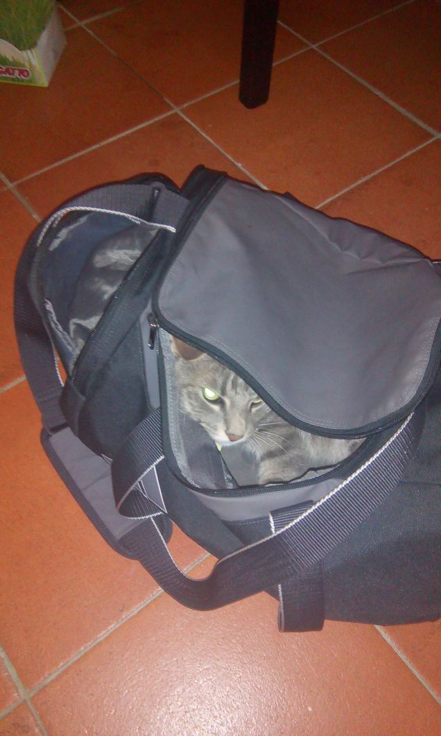 non si va via senza di me!!!