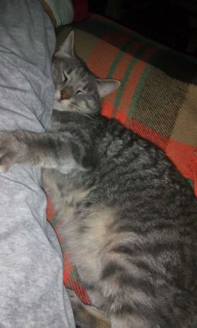 amo dormire vicino a te