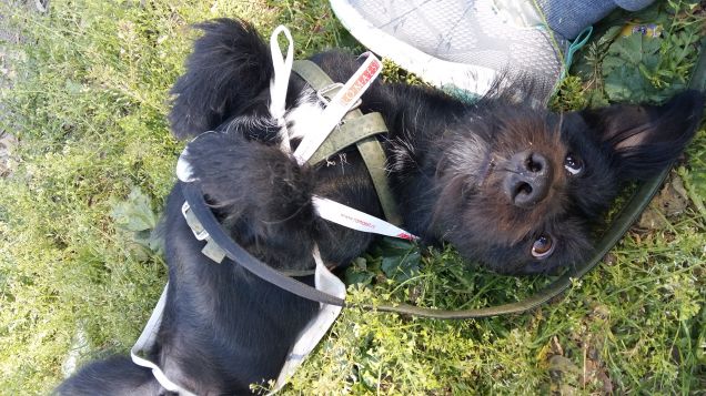 Iago il maratoneta di Roma