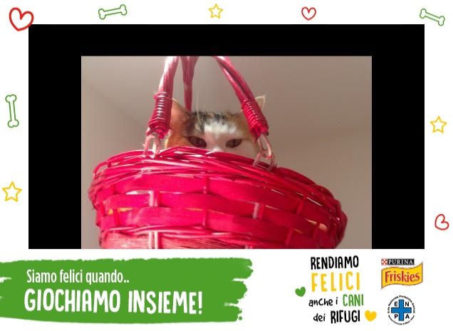 Cest0, che passione!