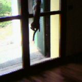 Smilla e la sua attività quotidiana