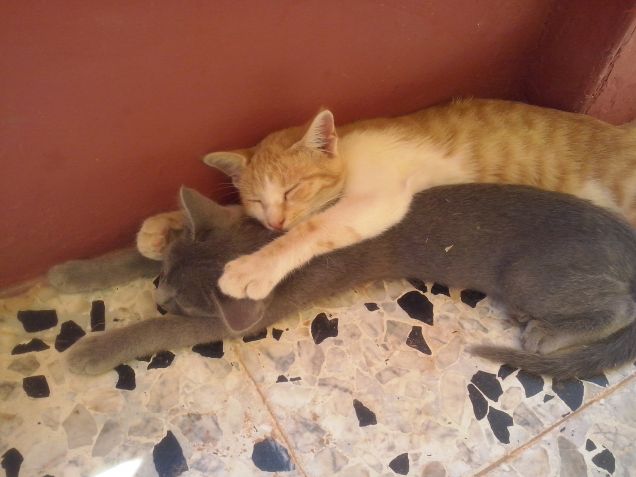 ViciniVicini anche se fa caaaaaaaaaaldo