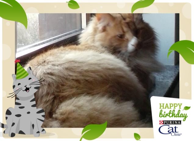 WASSER APPENA SVEGLIO