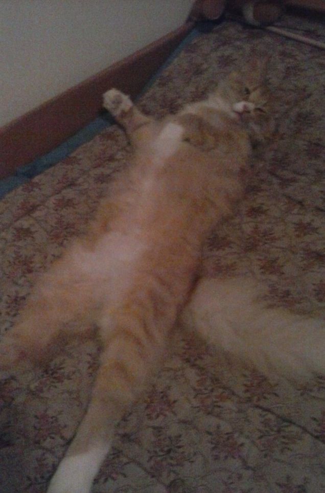 DORME COME UN BIMBETTO