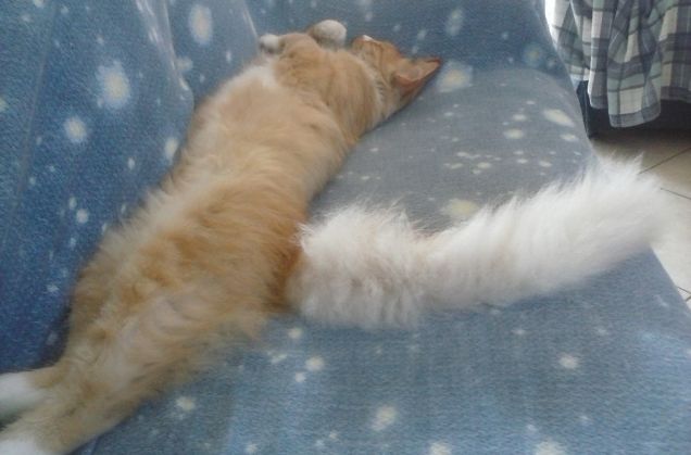 semplicemente grande