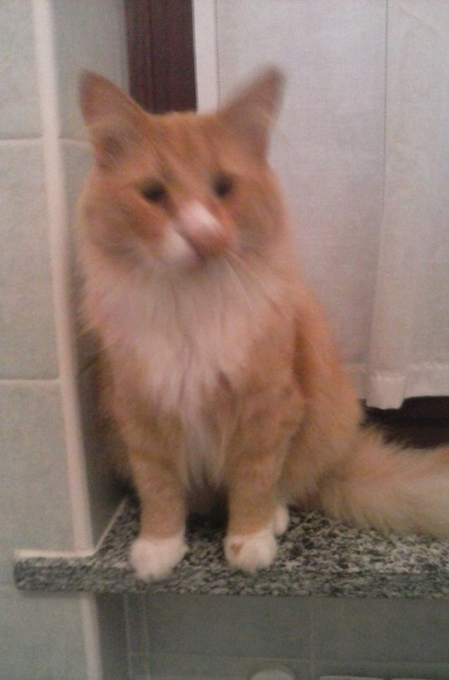 MAMMA TI FACCIO UNA SMORFIA