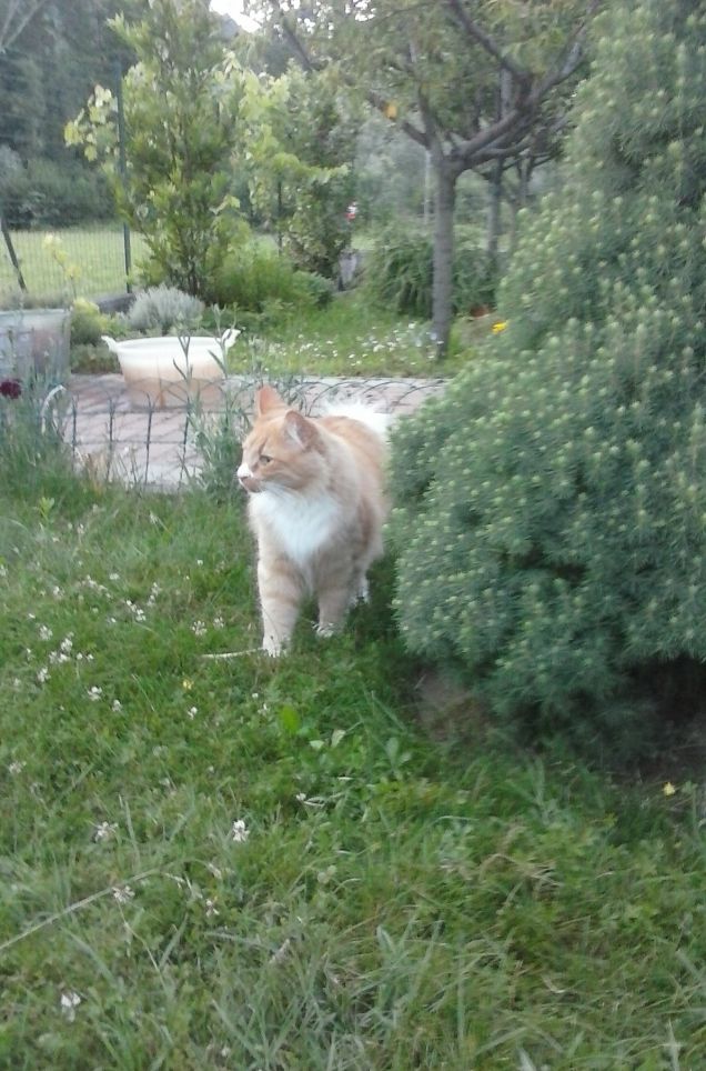 CHE FRESCA QUESTA SERATA