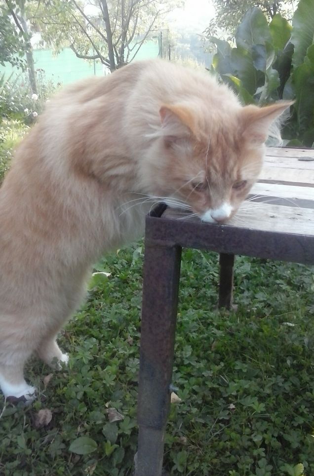 cos'è questo...un nuovo gioco?