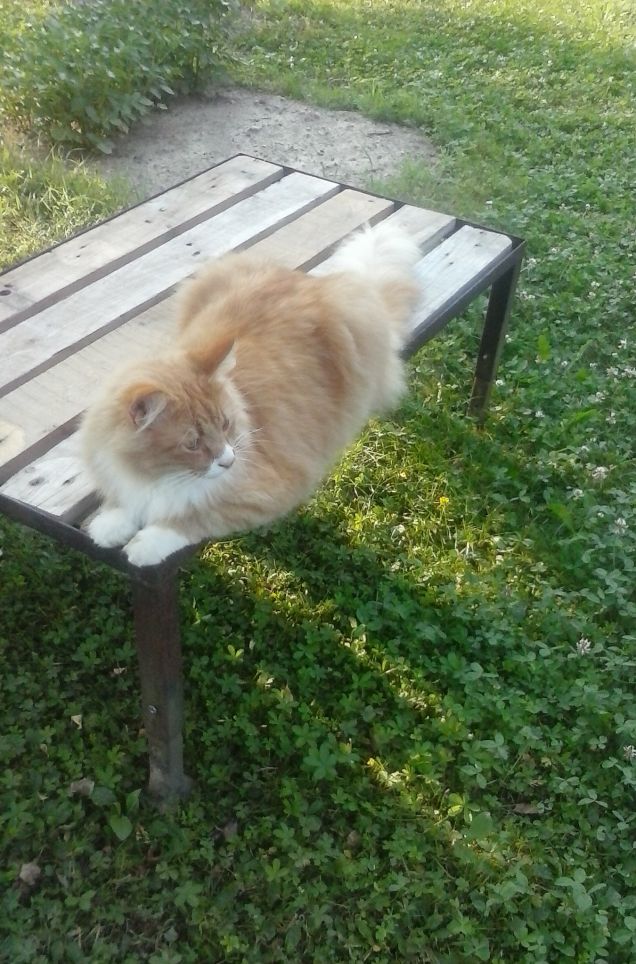 posso osservare meglio