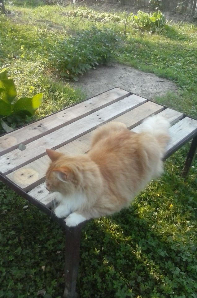 tutto più interessante