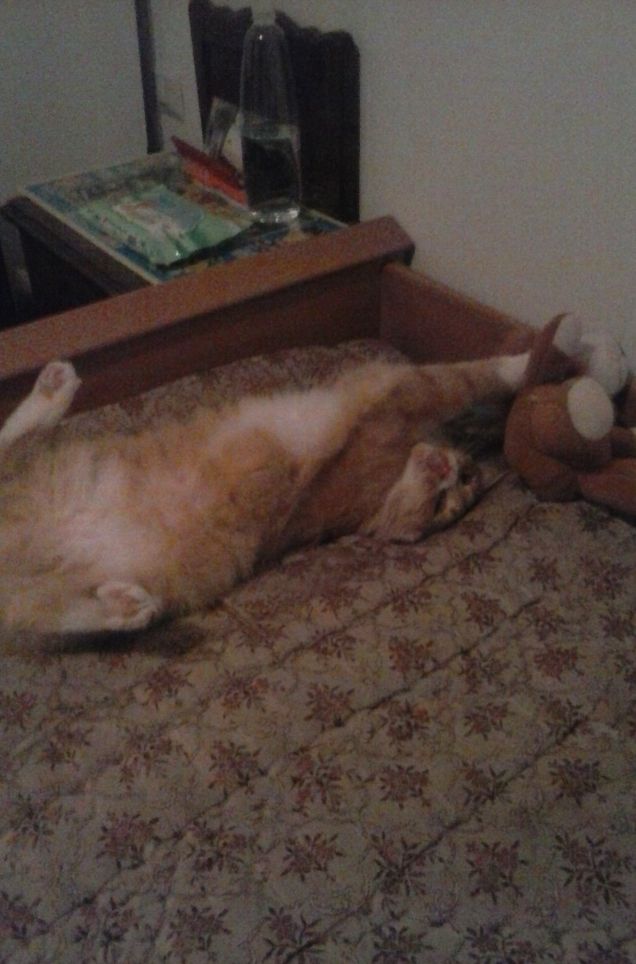 gioco con il mio peluche