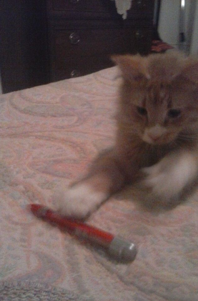 che bella questa penna