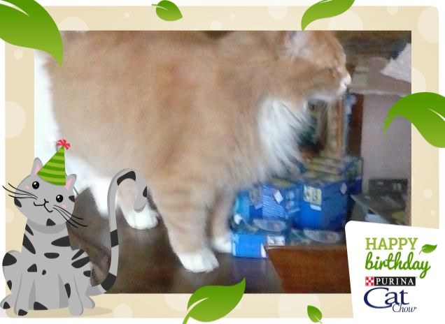 MA COSA E' ARRIVATO?