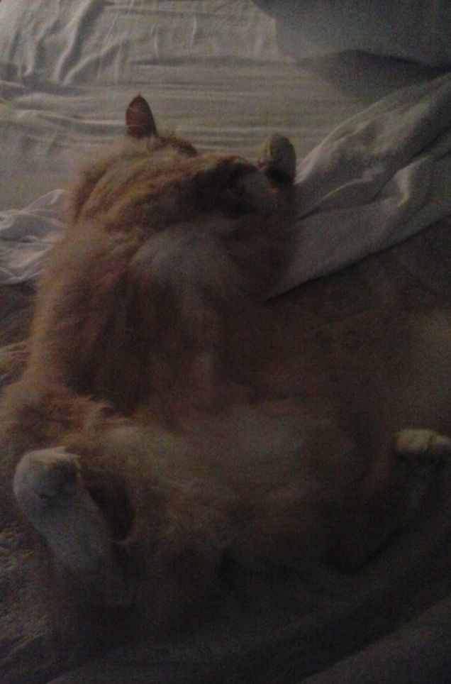 CHE POSIZIONE STRANA