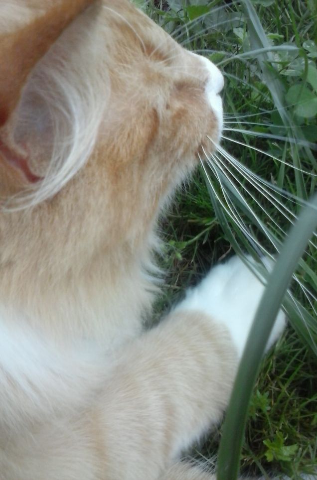 COSA C'E' QUI DIETRO