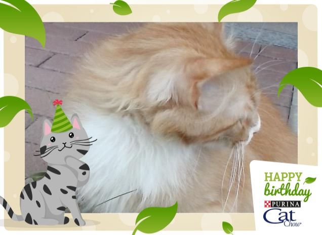 NON CHIAMARMI SEMPRE!