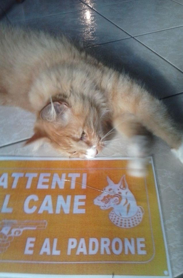 TUTTI I COMPITI DIFFICILI SEMPRE A ME...