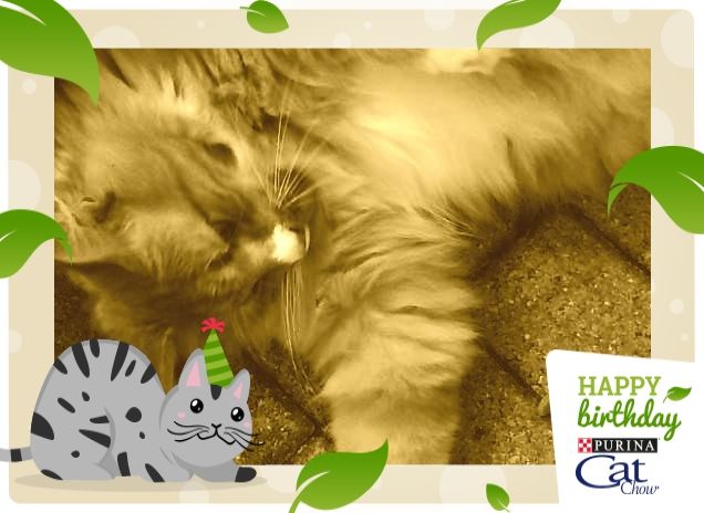 IL LAVORO MI DISTRUGGE