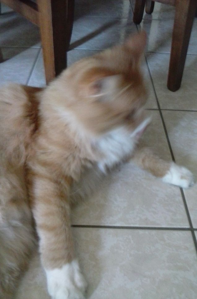 IL RIPOSO DEL GUERRIERO