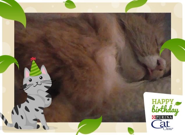 IL BELL'ADDORMENTATO