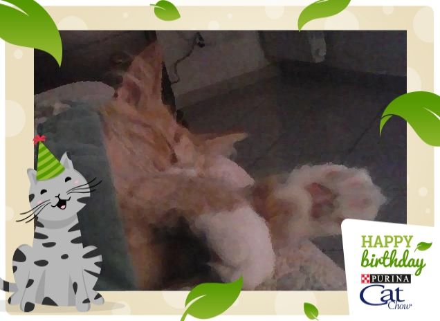 IL BELL'ADDORMENTATO b