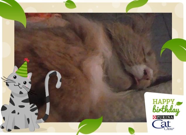 IL BELL'ADDORMENTATO c