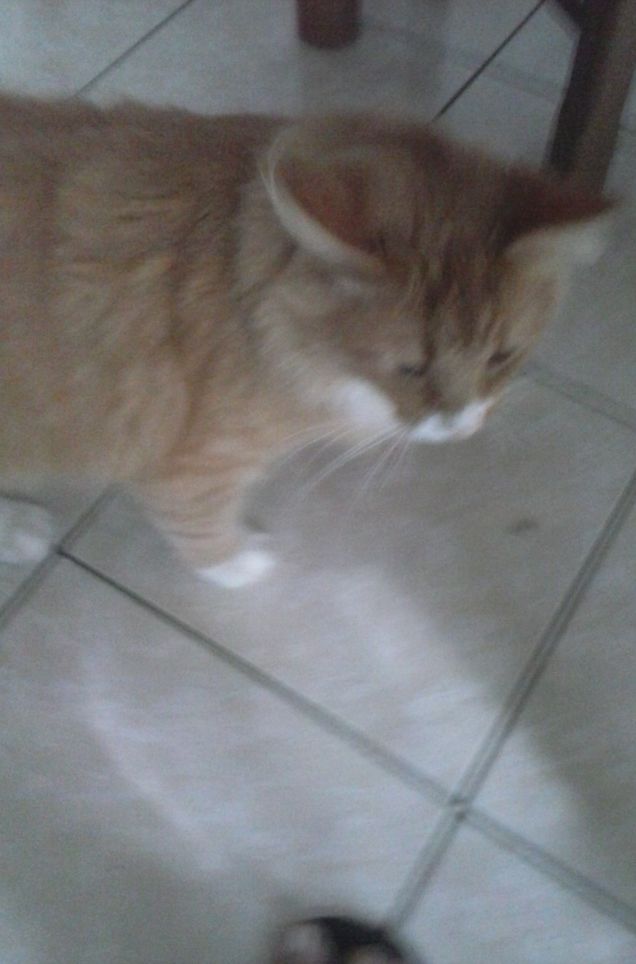 25 GIUGNO ORE 06,00 DEL MATTINO a