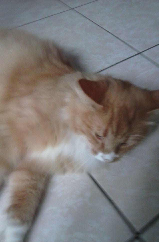 25 GIUGNO ORE 06,00 DEL MATTINO b