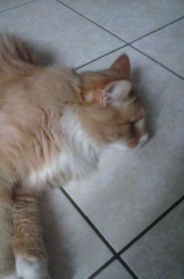 25 GIUGNO ORE 06,00 DEL MATTINO c