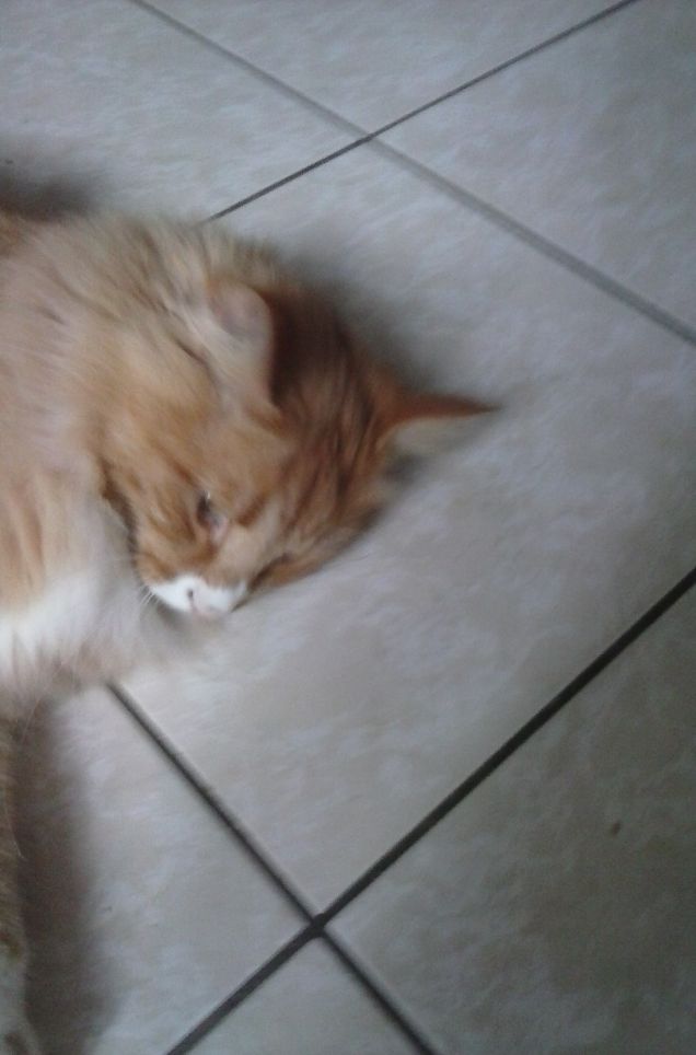 25 GIUGNO ORE 06,00 DEL MATTINO d