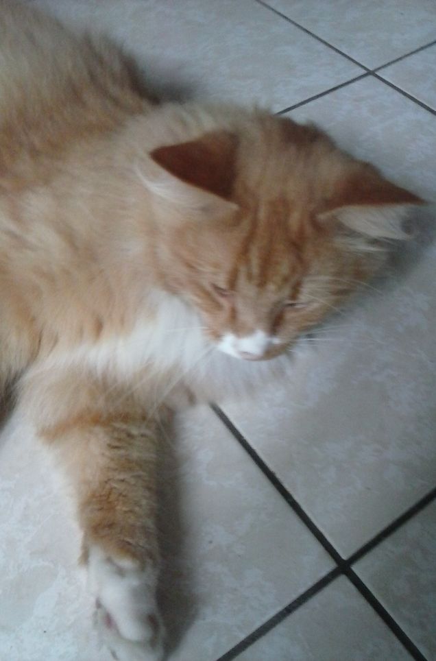 25 GIUGNO ORE 06,00 DEL MATTINO e