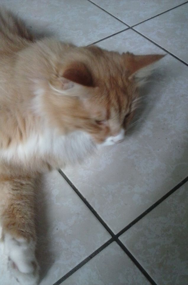 25 GIUGNO ORE 06,00 DEL MATTINO f