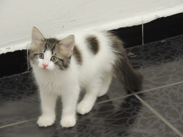 LA SORELLINA DI WASSER b