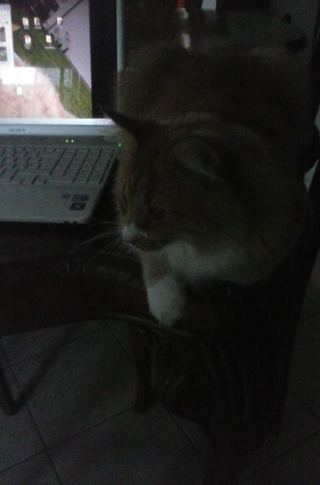 FUORI C'E' LA TEMPESTA