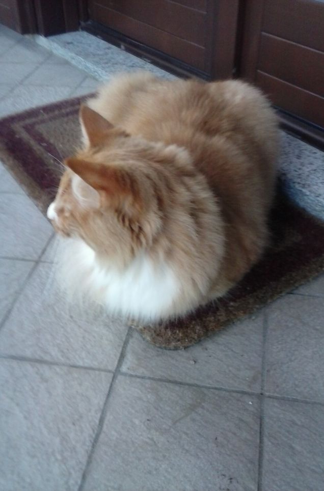 QUIETE DOPO LA TEMPESTA a