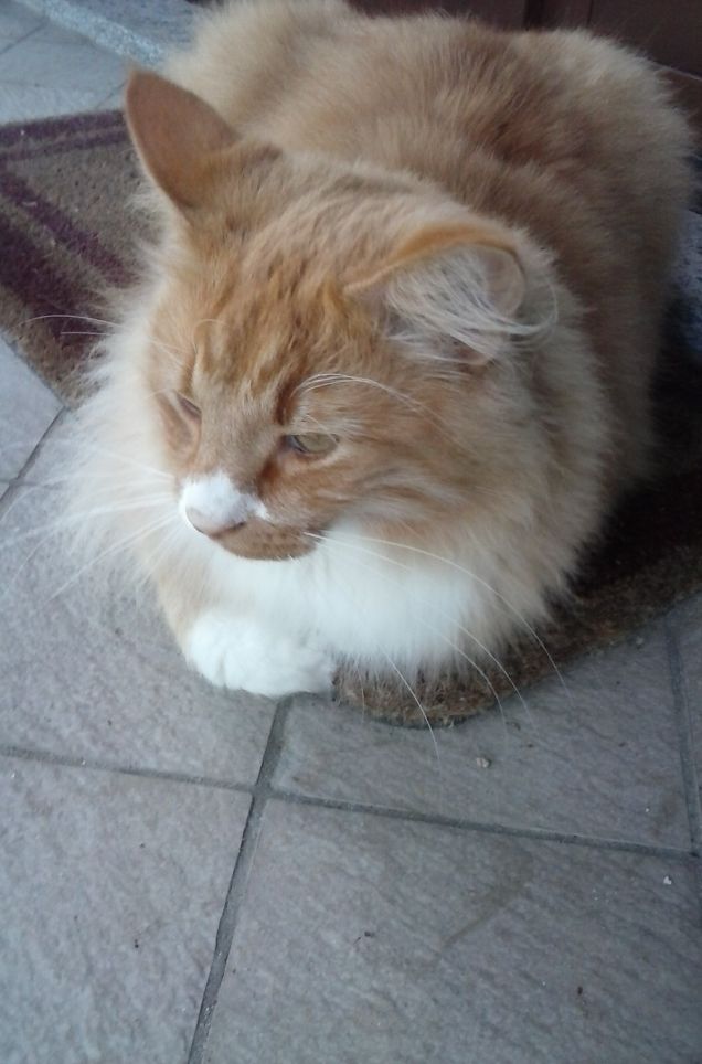 QUIETE DOPO LA TEMPESTA b