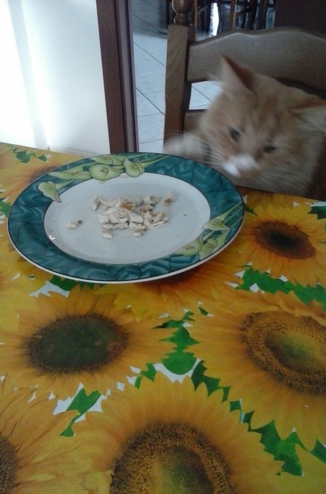 SBIRCIATINA SUL TAVOLO