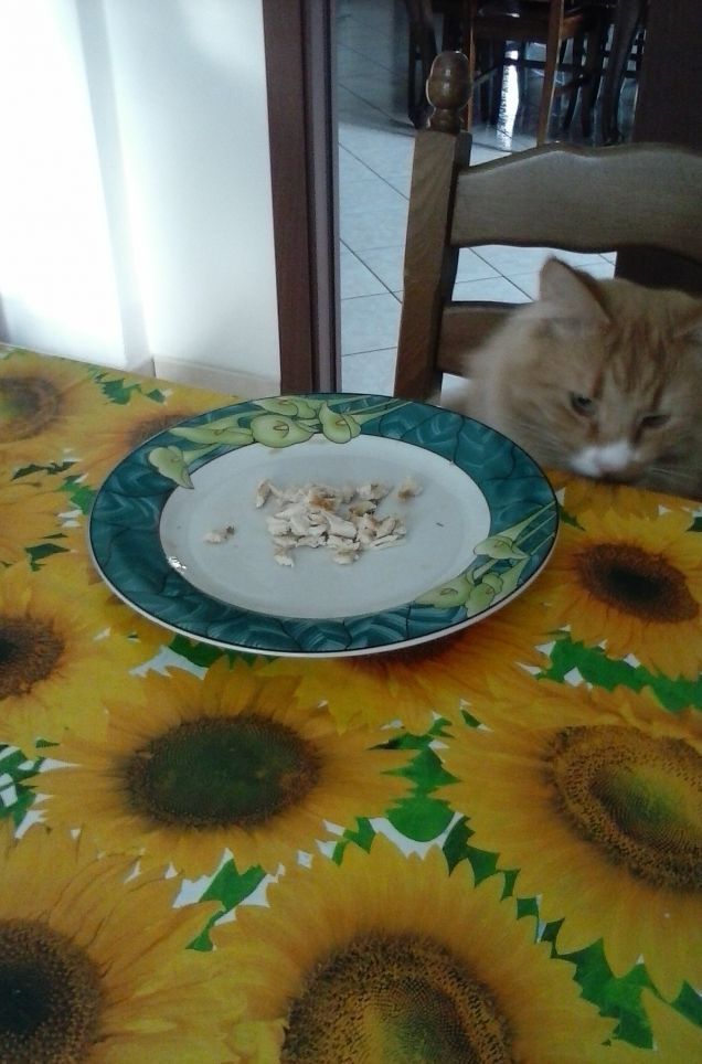 SBIRCIATINA SUL TAVOLO B