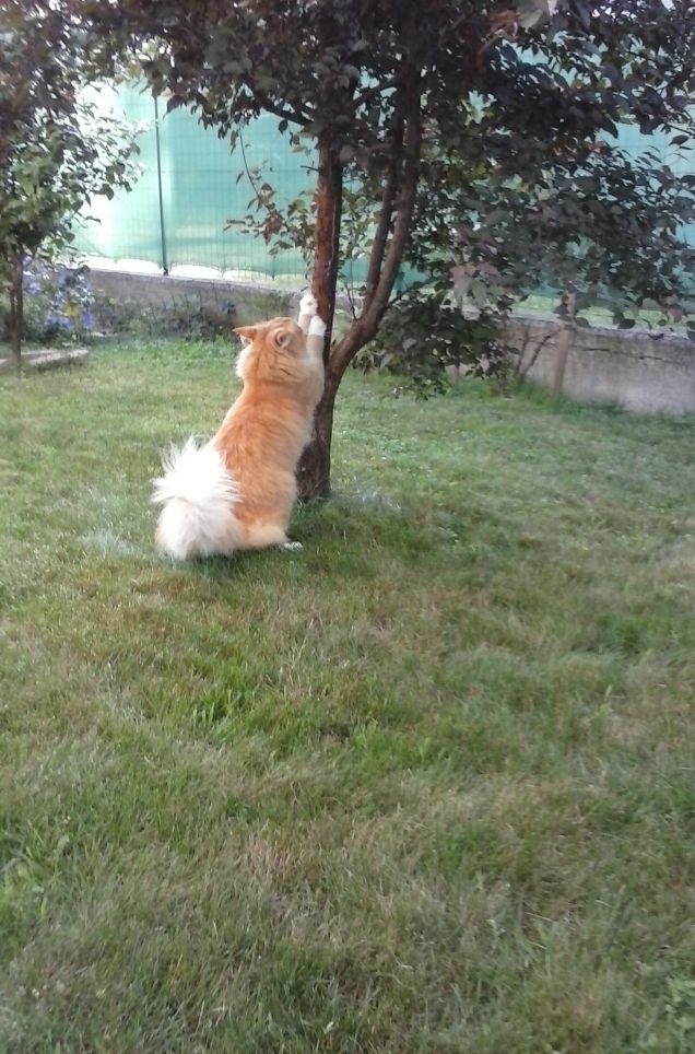 SEGNIAMO IL TERRITORIO a