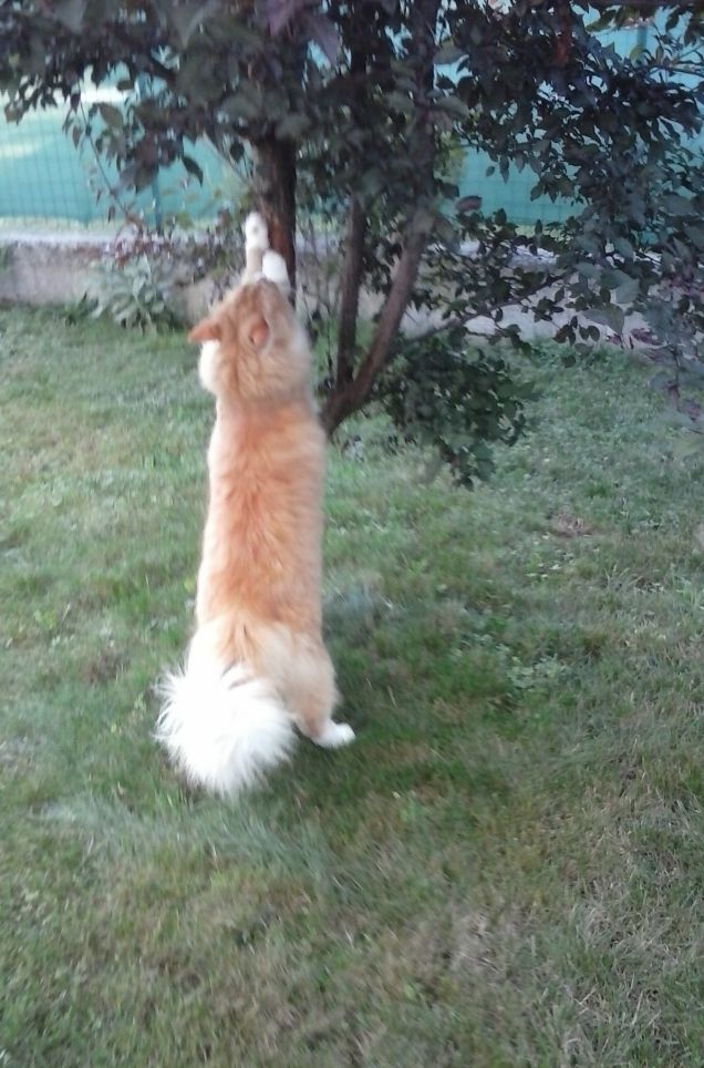 SEGNIAMO IL TERRITORIO b