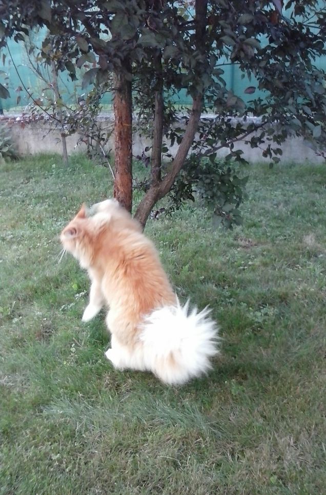 SEGNIAMO IL TERRITORIO c