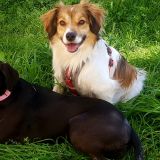 amici dei miei bimbi