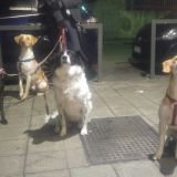 foto piu belle delle mie bimbe e bimbi