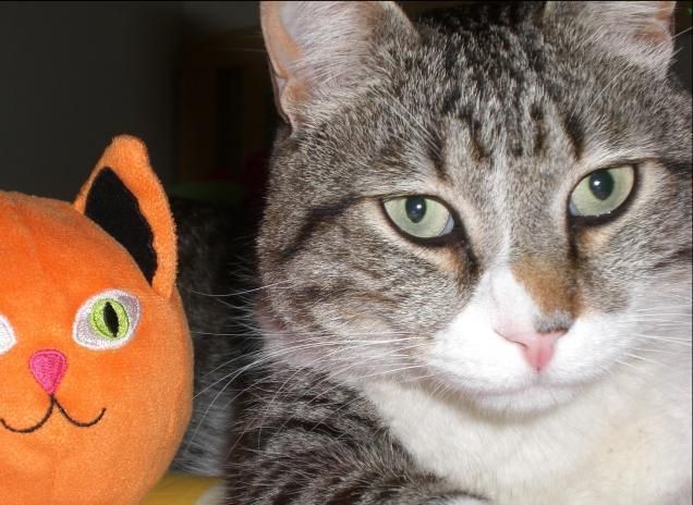 Cleo e il suo alter ego...