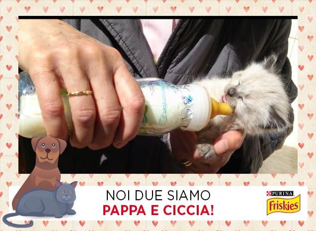 É l'ora della pappa